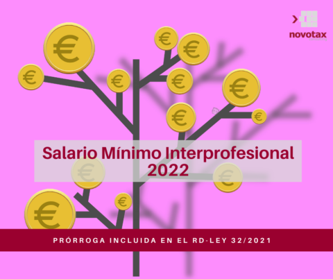 Salario Mínimo Interprofesional 2022